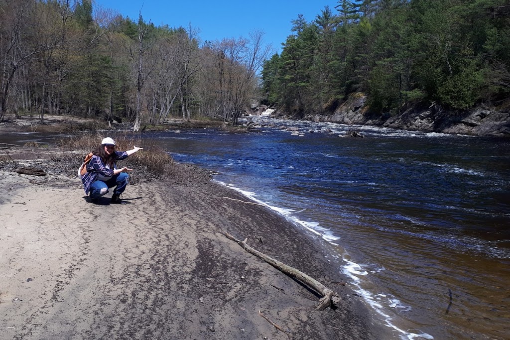 Ron Reid Nature Reserve | Black River Rd, Washago, ON L0K 2B0, Canada | Phone: (705) 326-1620