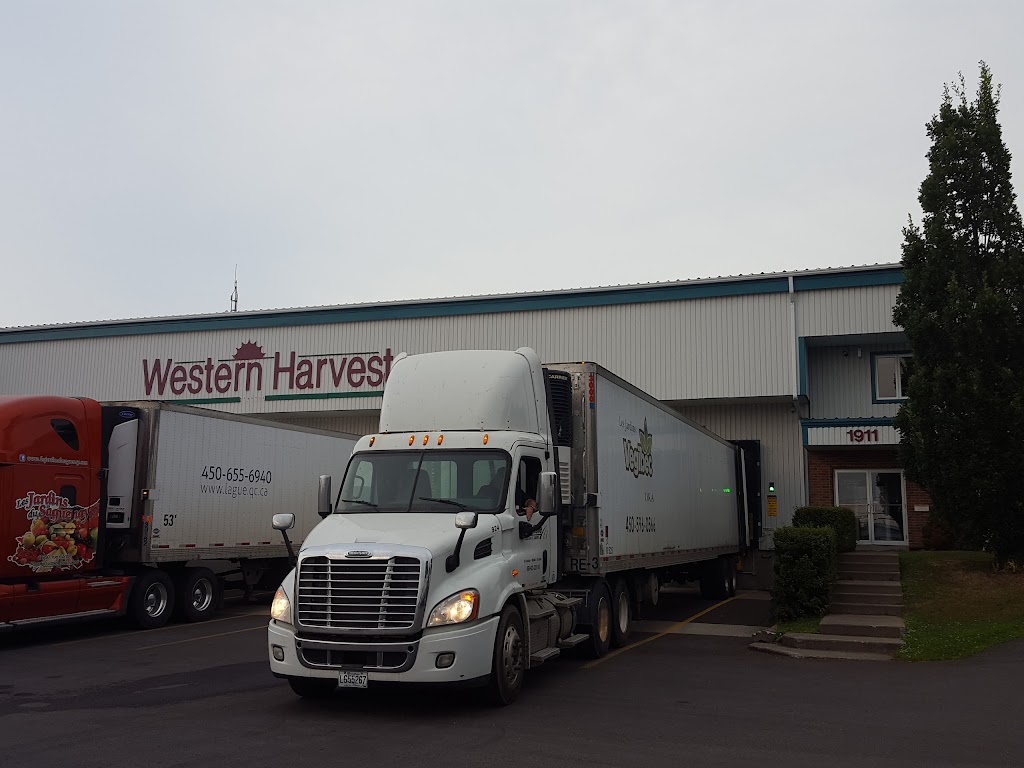 Western Harvest Inc | 1911 Chem. de la Rivière, Sainte-Clotilde-de-Châteauguay, QC J0L 1W0, Canada | Phone: (450) 826-2000