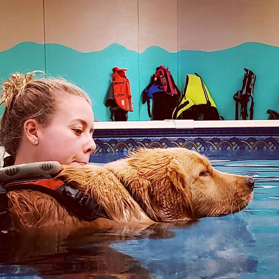 Dog Paddle K9 Aquatics | 3280 Hwy 7, Pickering, ON L1Y 1C8, Canada | Phone: (905) 655-5577