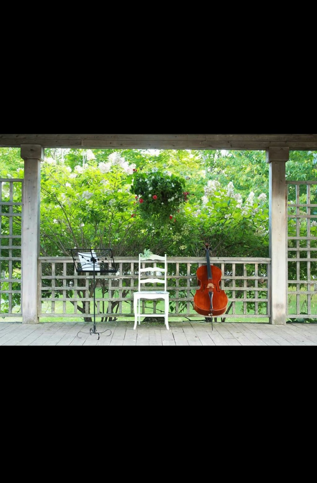 The Halifax Wedding Cellist | 101 Williams Lake Rd, Halifax, NS B3P 1T4, Canada | Phone: (902) 209-9849