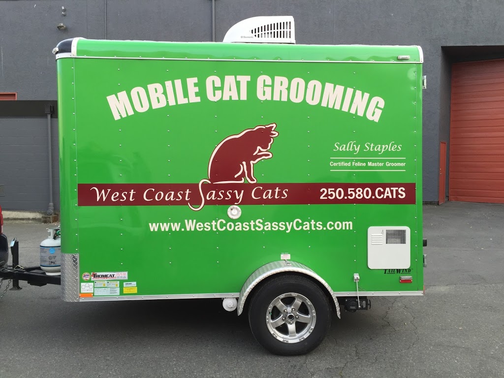 West Coast Sassy Cats | 587 Stornoway Dr, Victoria, BC V9C 3L1, Canada | Phone: (250) 580-2287