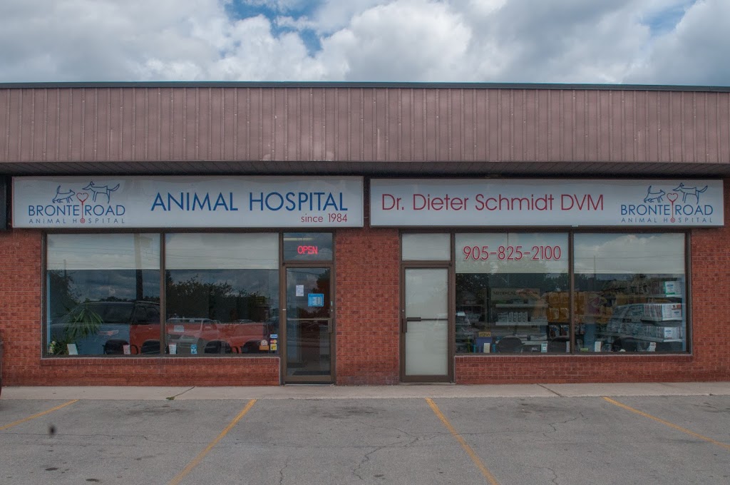 Bronte Road Animal Hospital | 2544 Speers Rd, Oakville, ON L6L 5W8, Canada | Phone: (905) 825-2100