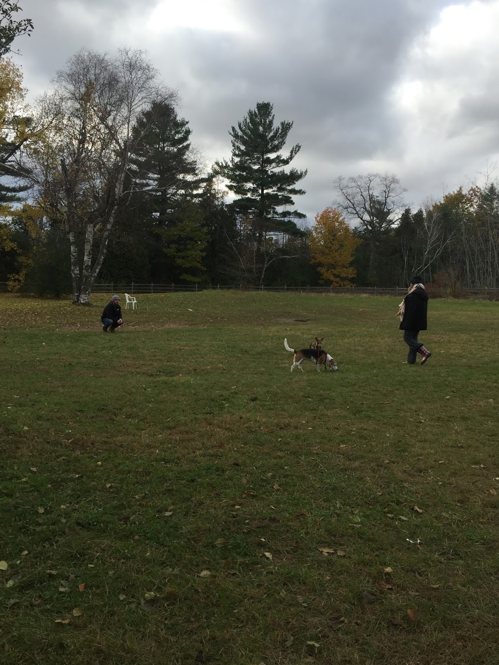 Pickering Dog Park | Pickering, ON L1V 0A1, Canada | Phone: (905) 683-7575