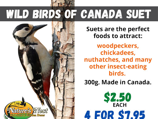 Natures Nest | 309 Kings Rd, Londesborough, ON N0M 2H0, Canada | Phone: (519) 523-4399