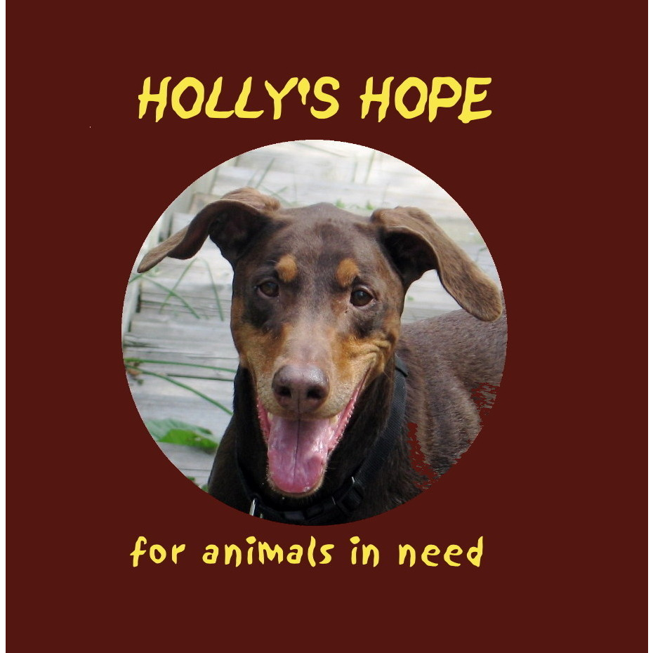 Hollys Hope for animals in need | 116 Springhurst Ave B, Toronto, ON M6K 1C1, Canada | Phone: (416) 591-2329