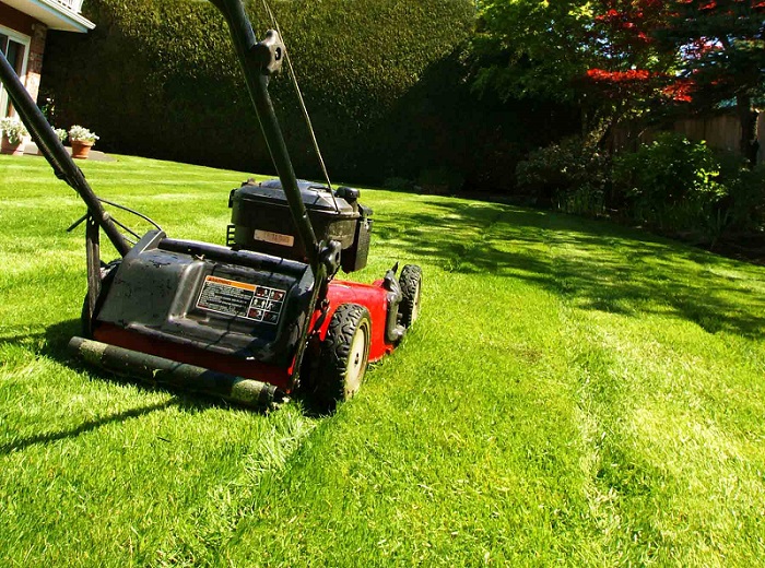 JD Lawn Care & Property Maintenance | 9031 Tallgrass Ave, Niagara Falls, ON L2G 0G1, Canada | Phone: (289) 929-7373