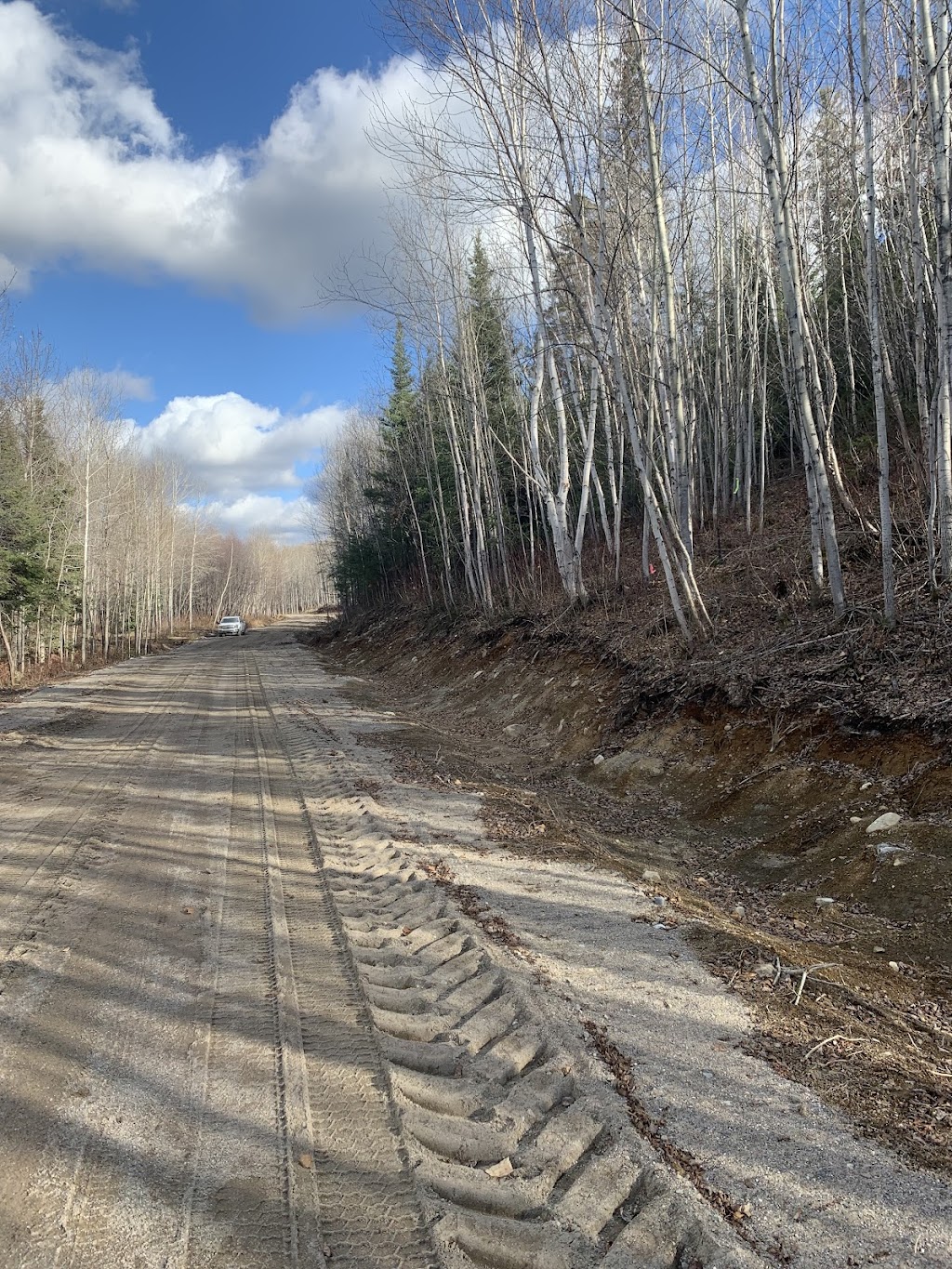 Terrains Louise et Sylvain Inc | 1 Chemin Labbé, Saint-Charles-de-Bourget, QC G0V 1G0, Canada | Phone: (418) 540-0483