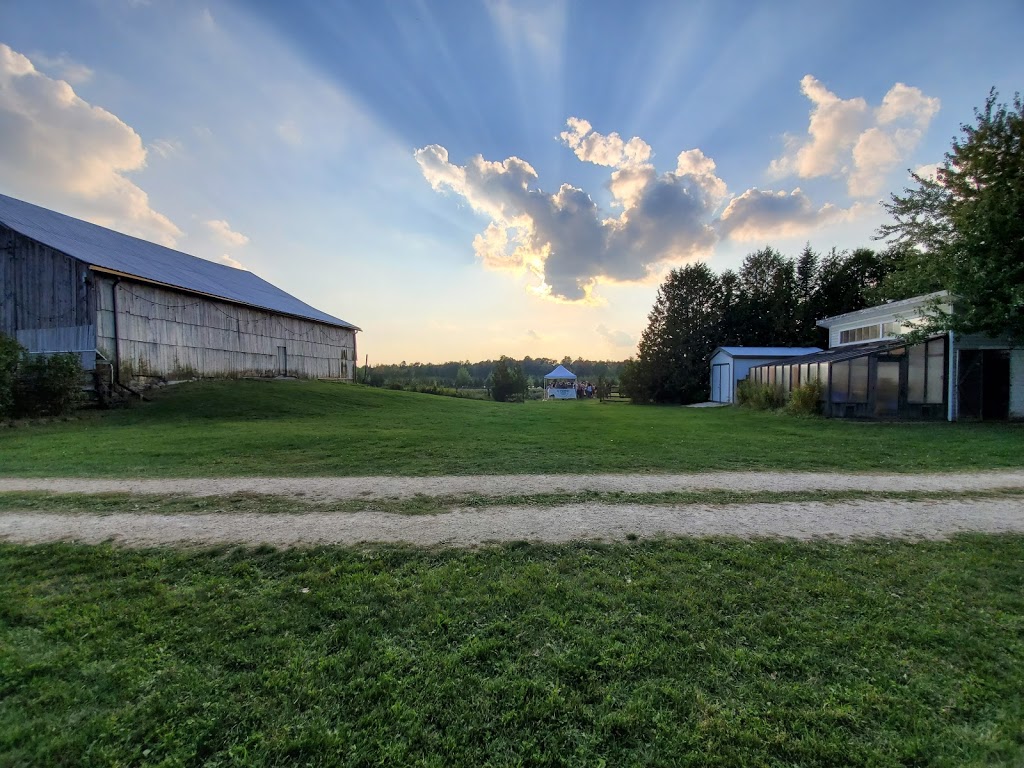 The New Farm | 9783 Sideroad 6 & 7 Nottawasaga, Creemore, ON L0M 1G0, Canada | Phone: (705) 466-6302