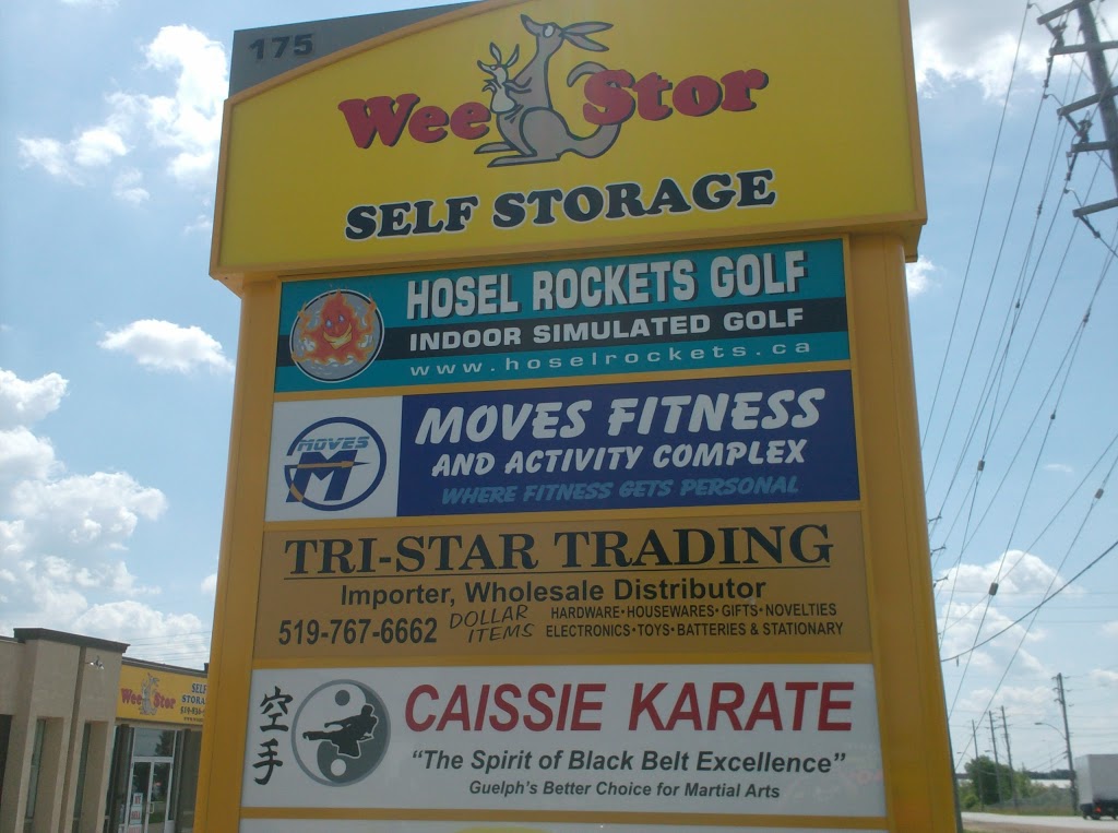 Wee Stor Self Storage | 175 Dawson Rd, Guelph, ON N1H 1A1, Canada | Phone: (519) 836-5501