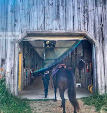 Greenfields Stables West | Township Rd 11, Bright, ON N0J 1G0, Canada | Phone: (519) 716-9600