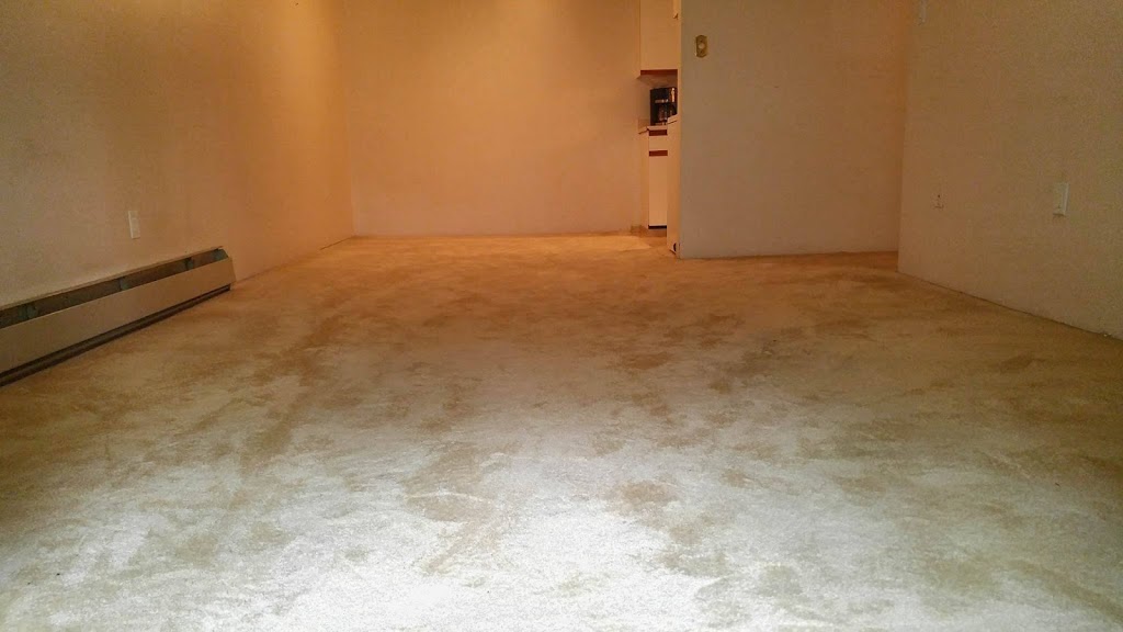 Carpet Shock | 3665 244 St #183, Langley City, BC V2Z 1N1, Canada | Phone: (604) 866-9187