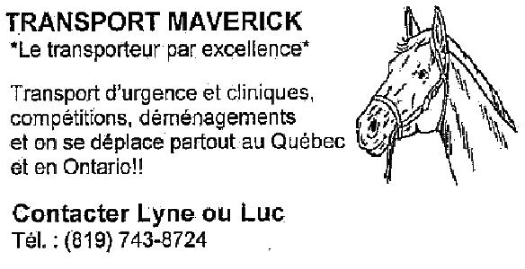 Transport Maverick | 417 Chem. Sauvé, Val-des-Monts, QC J8N 5A6, Canada | Phone: (819) 743-8724
