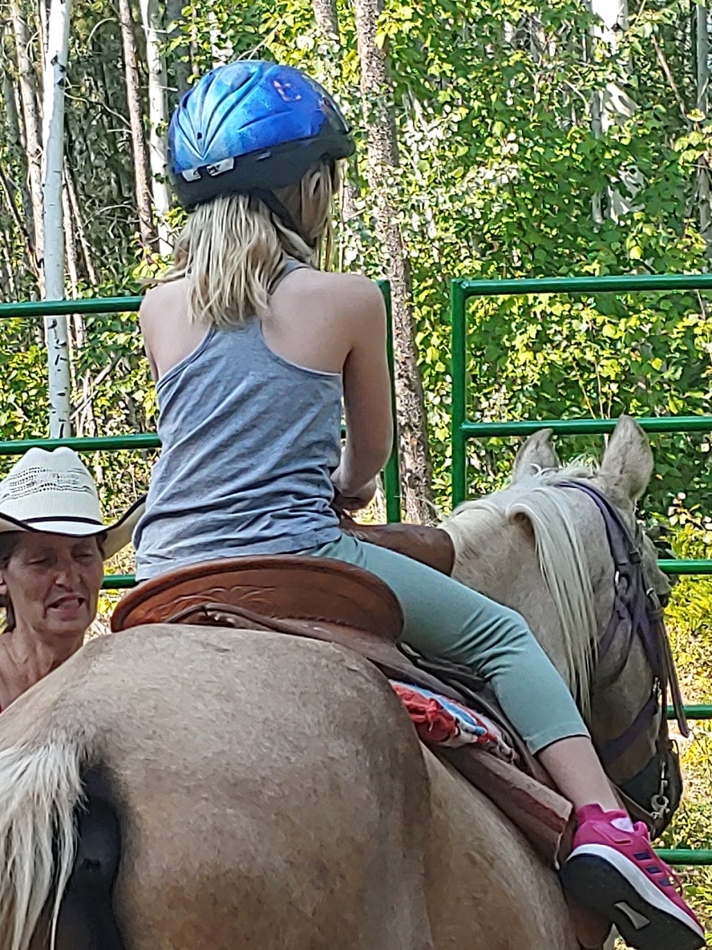 High Country Trail Rides | 1091 60 St NW, Salmon Arm, BC V1E 3B2, Canada | Phone: (250) 515-0667