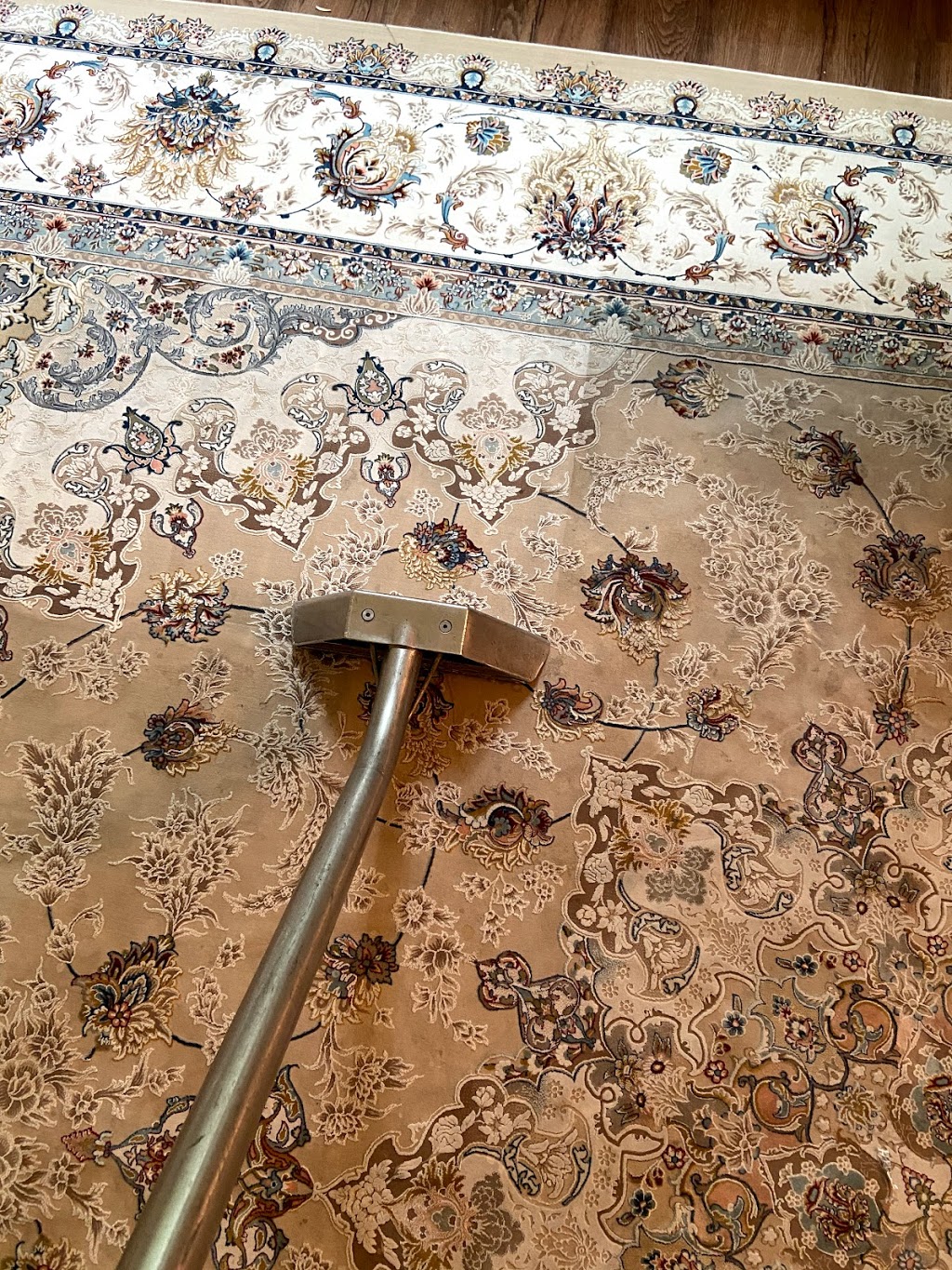 Siawash Carpet Cleaning & House Cleaning Services | 10754 150 St, Surrey, BC V3R 4C6, Canada | Phone: (604) 512-4852