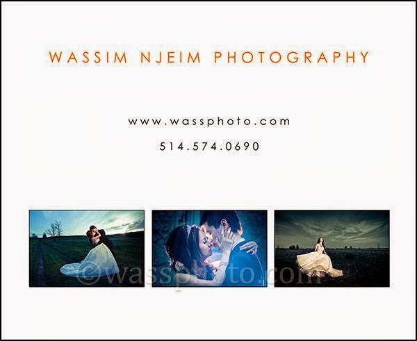 Njeim Photography: Montreal Wedding photographer | 8265 Bd Viau, Saint-Léonard, QC H1R 2T5, Canada | Phone: (514) 574-0690