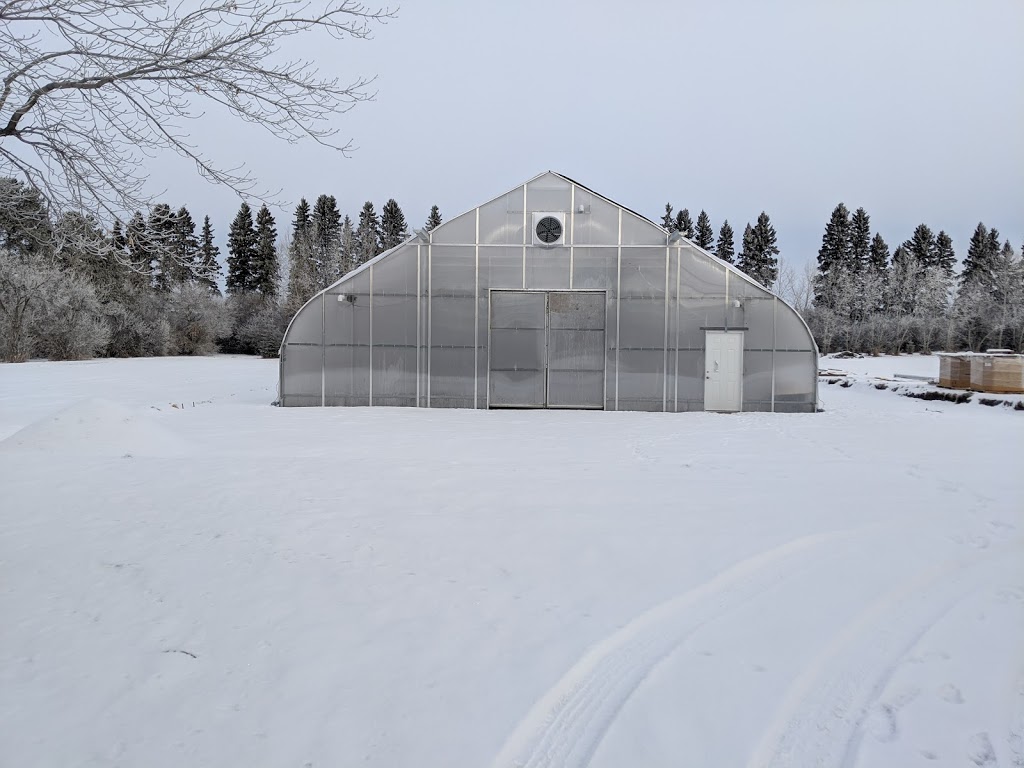 Diggers Greenhouse | 235014, AB-583, Three Hills, AB T0M 2A0, Canada | Phone: (403) 443-8474