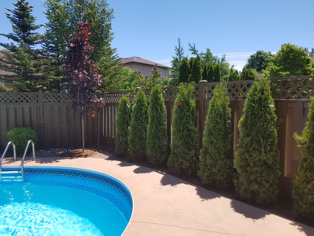 Robinsons Landscape & Design | St Jean St, Orillia, ON L3V 4L5, Canada | Phone: (705) 345-6310