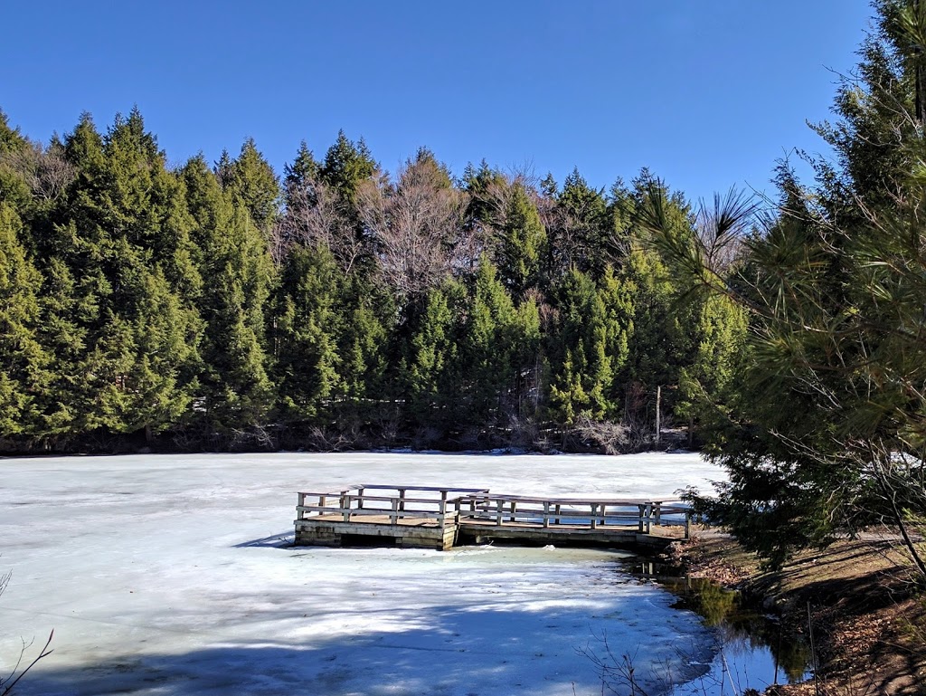 Mulvihill Parking Lot | Sentier Lauriault, Gatineau, QC J9J, Canada