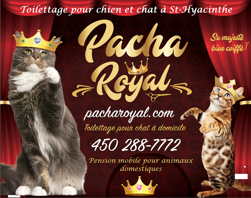 Pacha Royal | 16180 Avenue Demers, Saint-Hyacinthe, QC J2T 3V5, Canada | Phone: (450) 288-7772