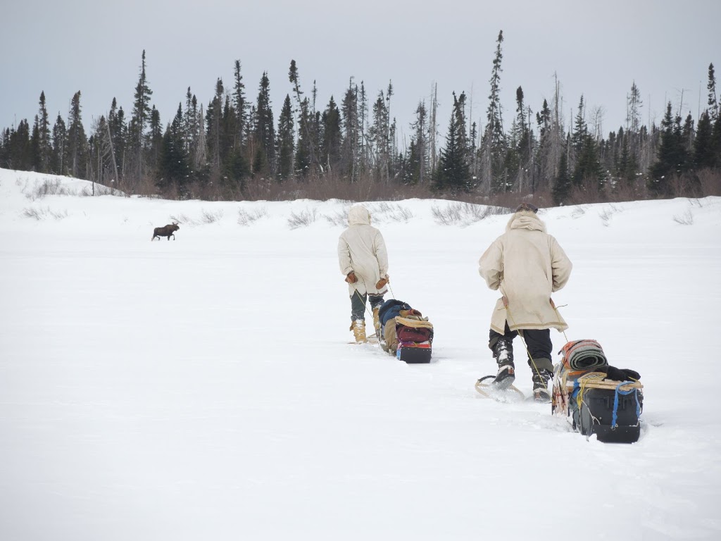 Lure of the North | Moose Lake Rd, Espanola, ON P5E 1S1, Canada | Phone: (705) 280-6809