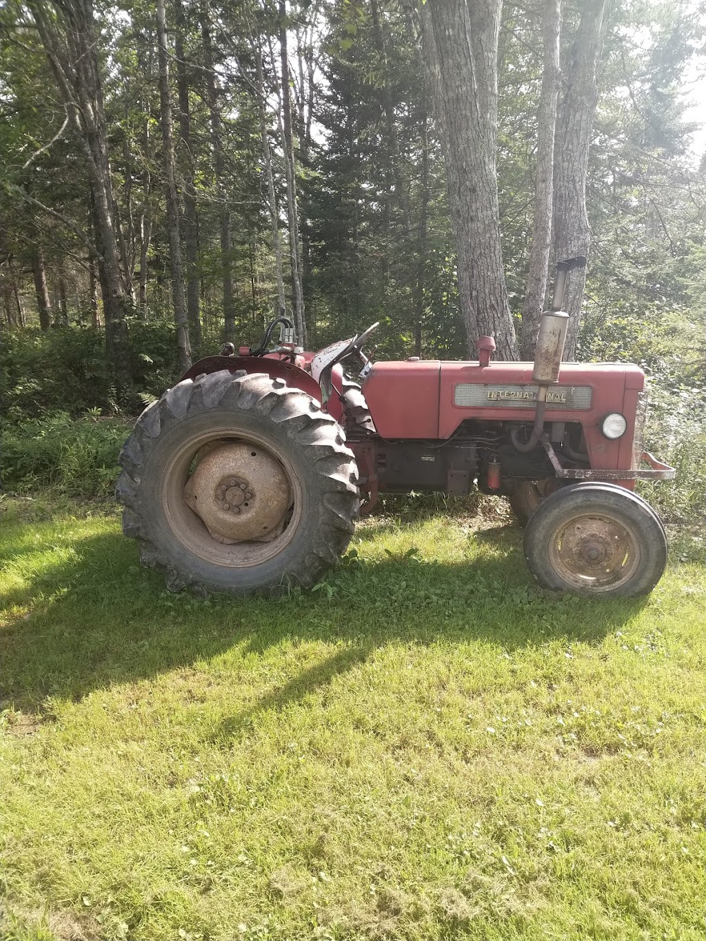 McGregor Brook Blueberries Upick | 325 McGregor Brook Rd, Mount Hebron, NB E4G 1H1, Canada | Phone: (506) 435-0536