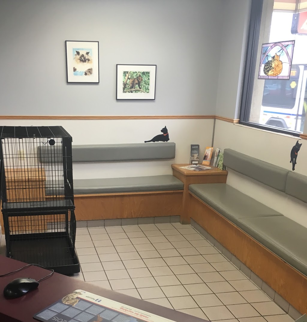 Community Pet Care Hospital | 1395 Abbott Rd #2001, Lackawanna, NY 14218, USA | Phone: (716) 821-0603