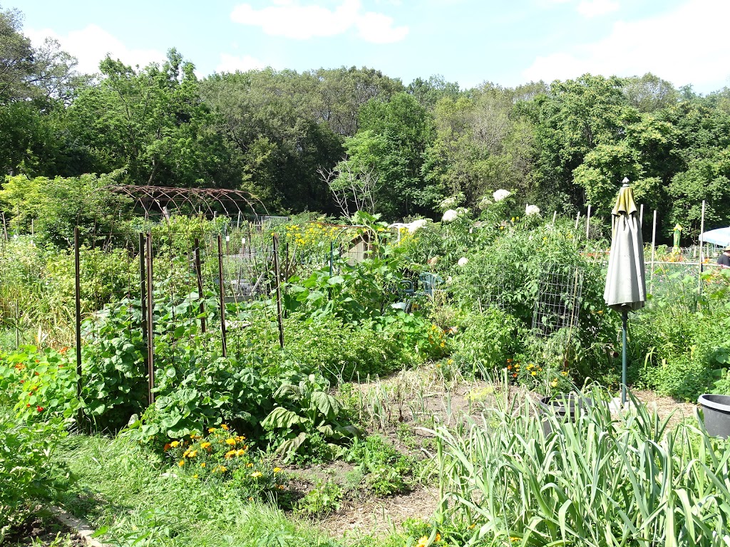 High Park Allotment Garden | High Park-Swansea, Toronto, ON M6R, Canada | Phone: 416-392-8188