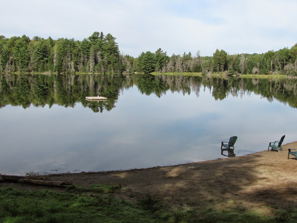 Reids Lake Campground | 120 Reids Lake Lane, Renfrew, ON K7V 3Z7, Canada | Phone: (613) 724-7583