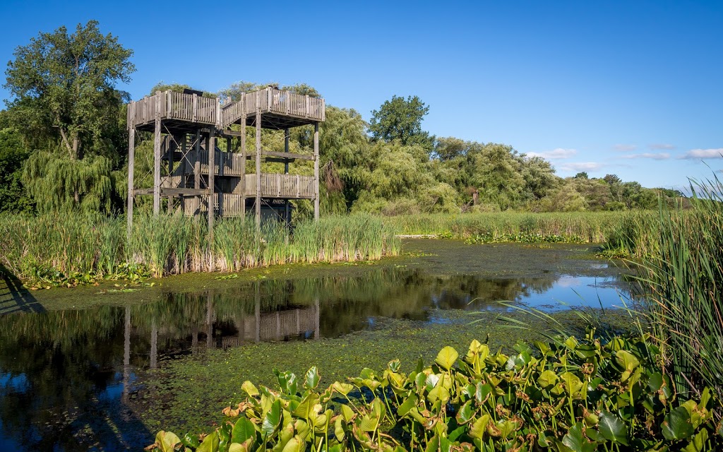 Point Pelee National Park | 1118 Point Pelee Dr, Leamington, ON N8H 3V4, Canada | Phone: (519) 322-2365