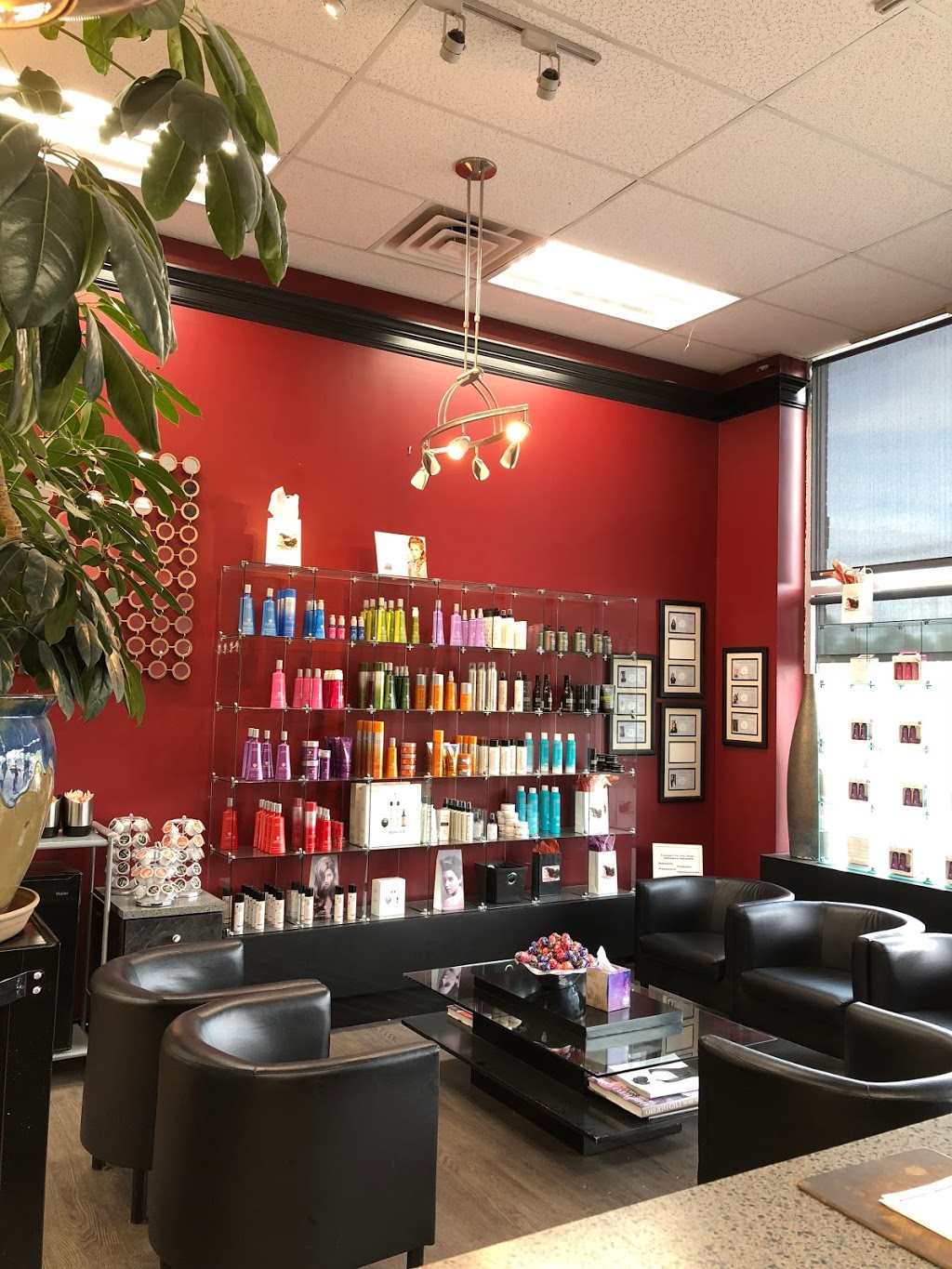 Michael the Salon | 8520 Transit Rd, Williamsville, NY 14221, United States | Phone: (716) 636-4400