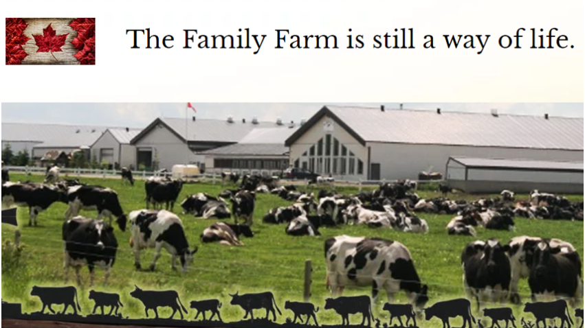 Central Alberta Farms | 5820a AB-2A, Lacombe, AB T4L 2G5, Canada | Phone: (403) 406-0875