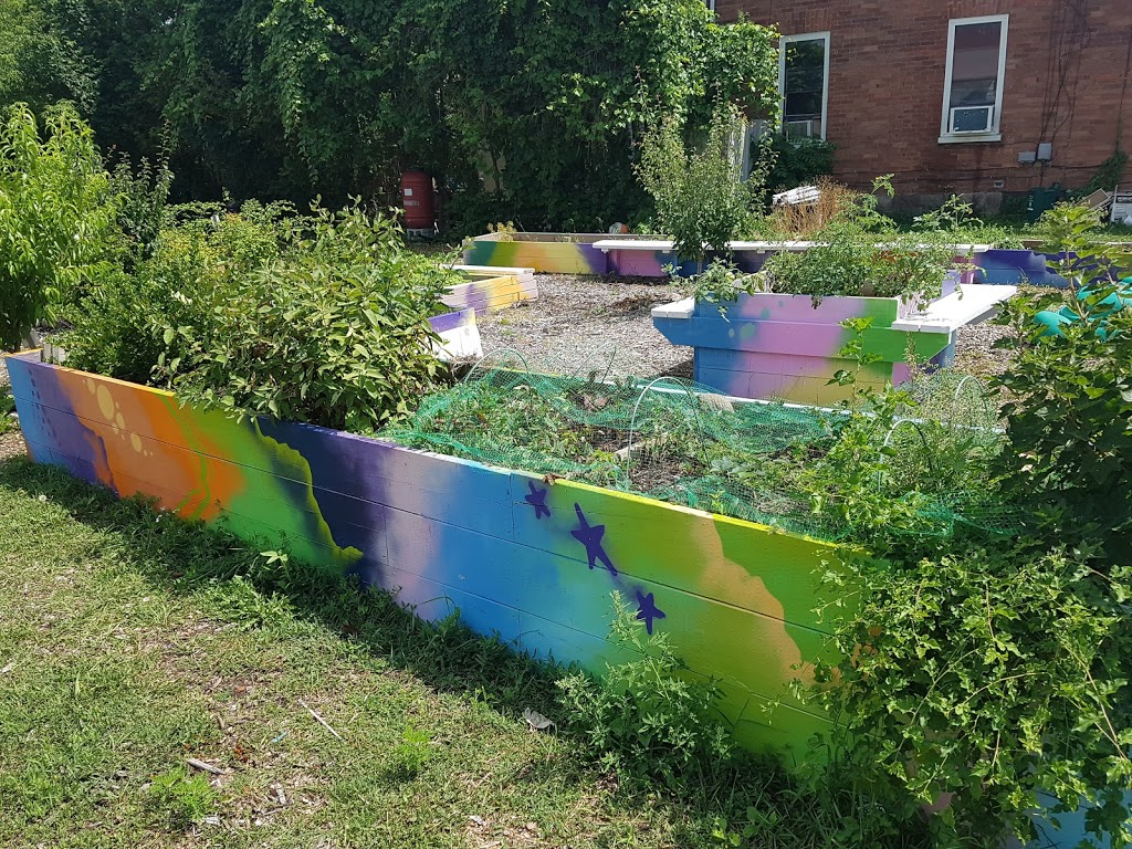 Pepper Patch Community Garden | 139 Albert St, Oshawa, ON L1H 4R3, Canada | Phone: (905) 244-6585