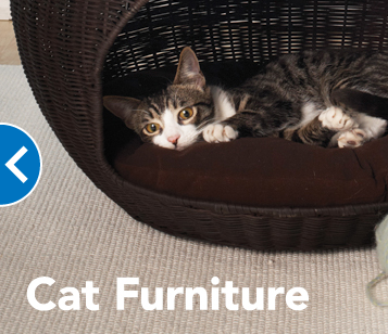 PetSmart | 33 Mapleview Dr W, Barrie, ON L4N 9H5, Canada | Phone: (705) 722-0337