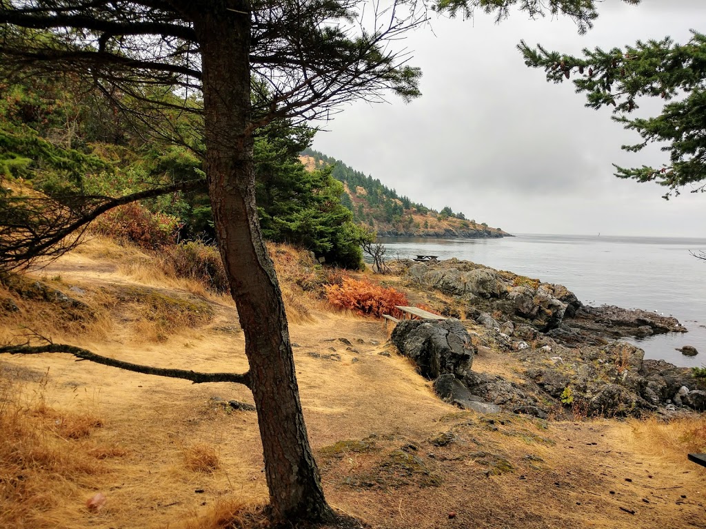 Lime Kiln Point State Park | 1567 West Side Rd, Friday Harbor, WA 98250, USA | Phone: (360) 378-2044