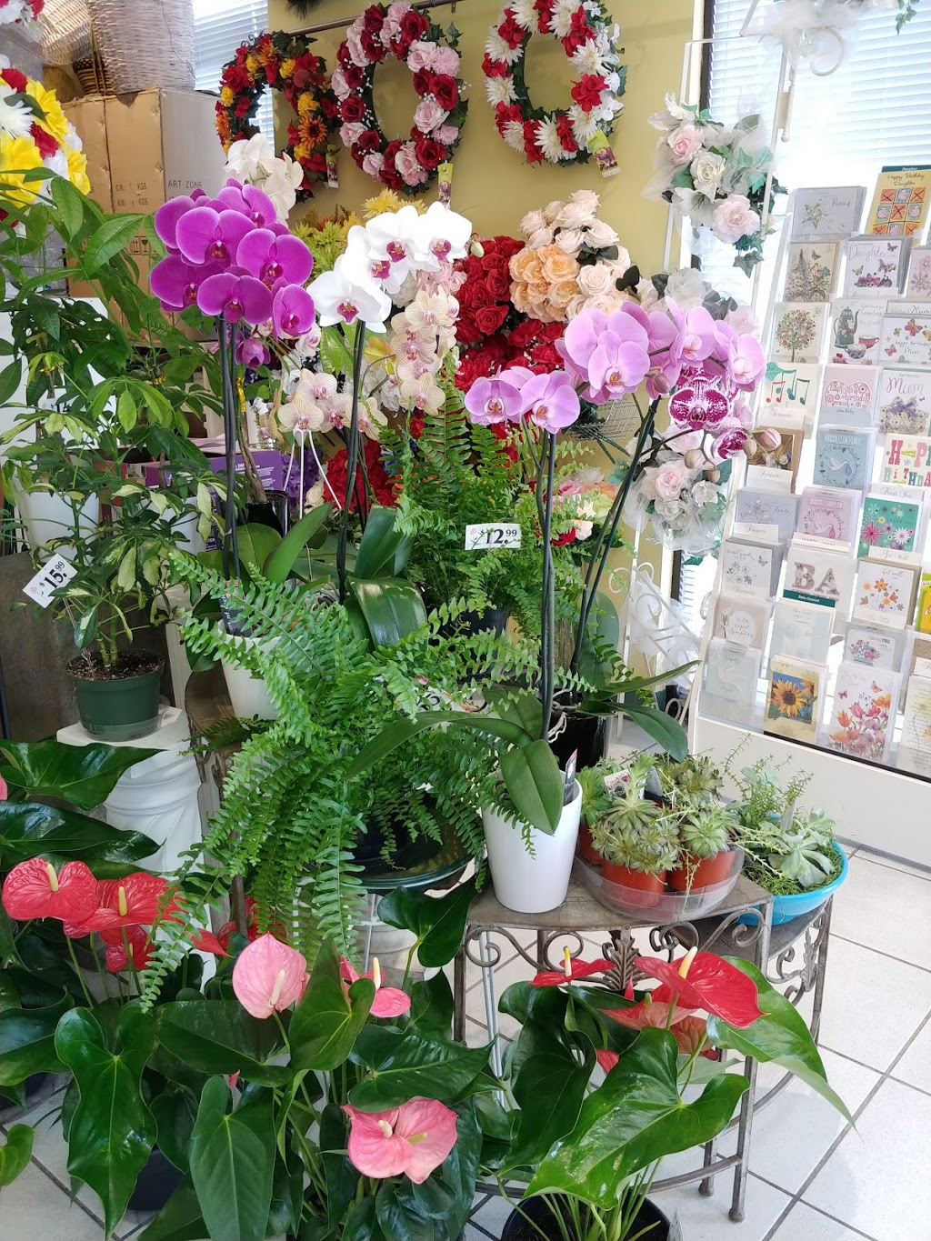 Shop For Flowers | 332 Main St N, Brampton, ON L6V 1P8, Canada | Phone: (905) 453-8634