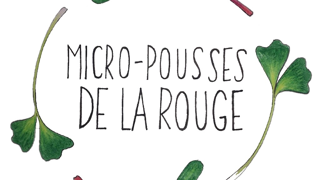 Micro-pousses de la rouge | 1019 Chem. du Lac Kiamika, Rivière-Rouge, QC J0T 1T0, Canada | Phone: (819) 616-3238