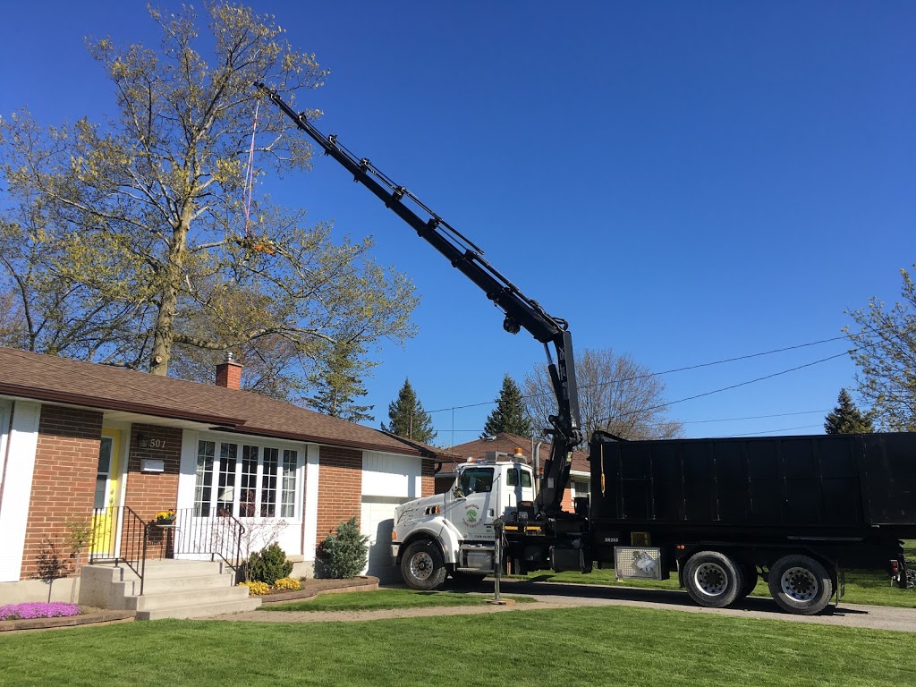 Shorthills Tree Service inc | 400 Chantler Rd, Welland, ON L3B 5N8, Canada | Phone: (905) 892-0261