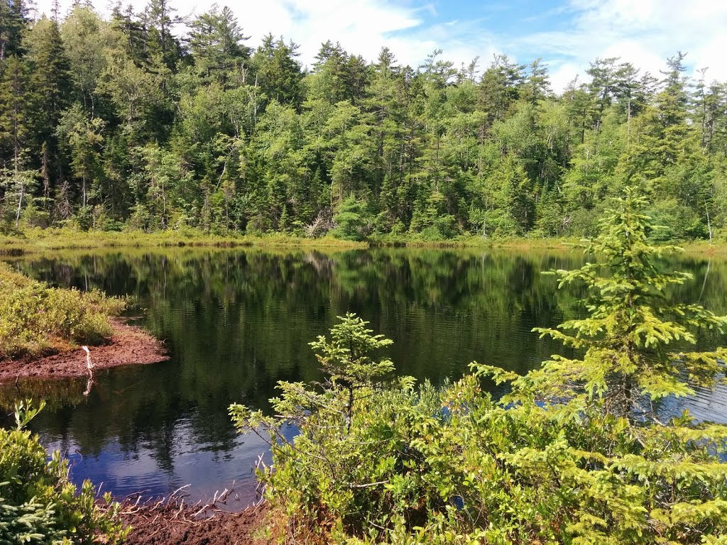 Crowbar Lake Trail | 1800 Myra Rd, Porters Lake, NS B3E 1H2, Canada