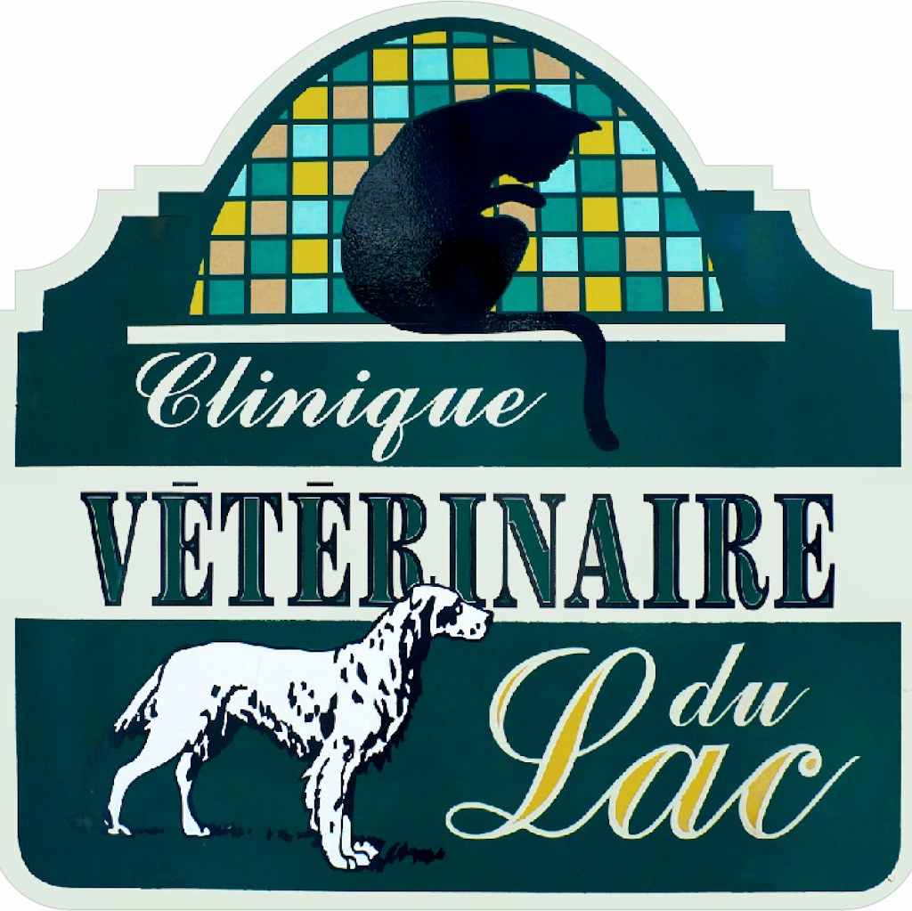 Clinique Vétérinaire Du Lac Mégantic inc. | 4430 Rue Laval, Lac-Mégantic, QC G6B 1B8, Canada | Phone: (819) 583-5742