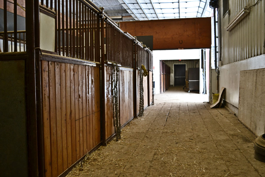 Calgary Shrine Stables | 5151 101 St NW, Calgary, AB T3L 1S4, Canada | Phone: (403) 512-2501