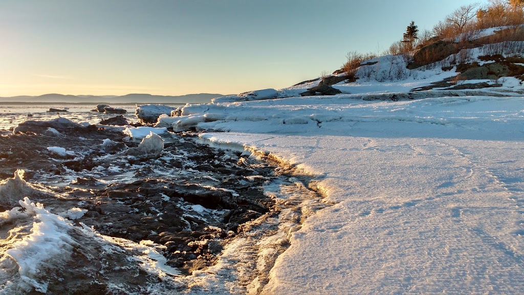 Cap-Saint-Ignace Bird Sanctuary | 147 Rue du Manoir O, Cap-Saint-Ignace, QC G0R 1H0, Canada | Phone: (800) 668-6767