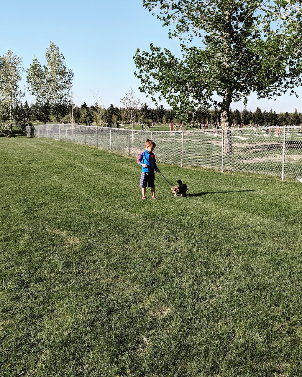 Queens Park Villiage off-leash area QPK-001 | 3425 10 St NW, Calgary, AB T2K, Canada