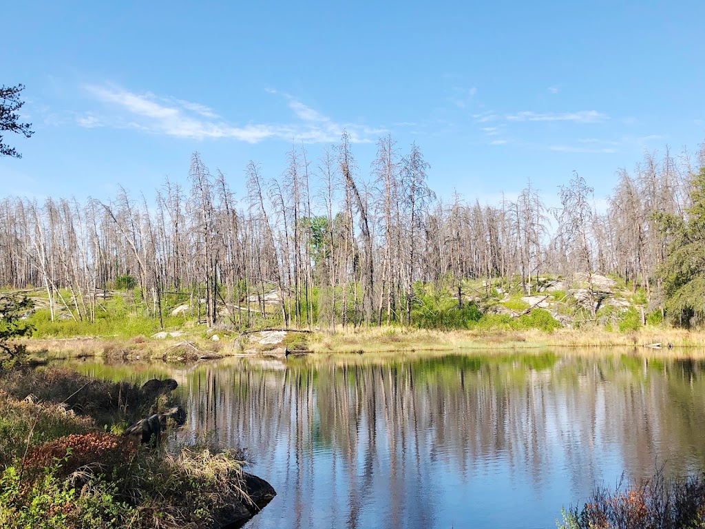 Mantario Trail - South Trailhead | MB-312, Whiteshell, MB R0E 2H0, Canada | Phone: (204) 369-3157