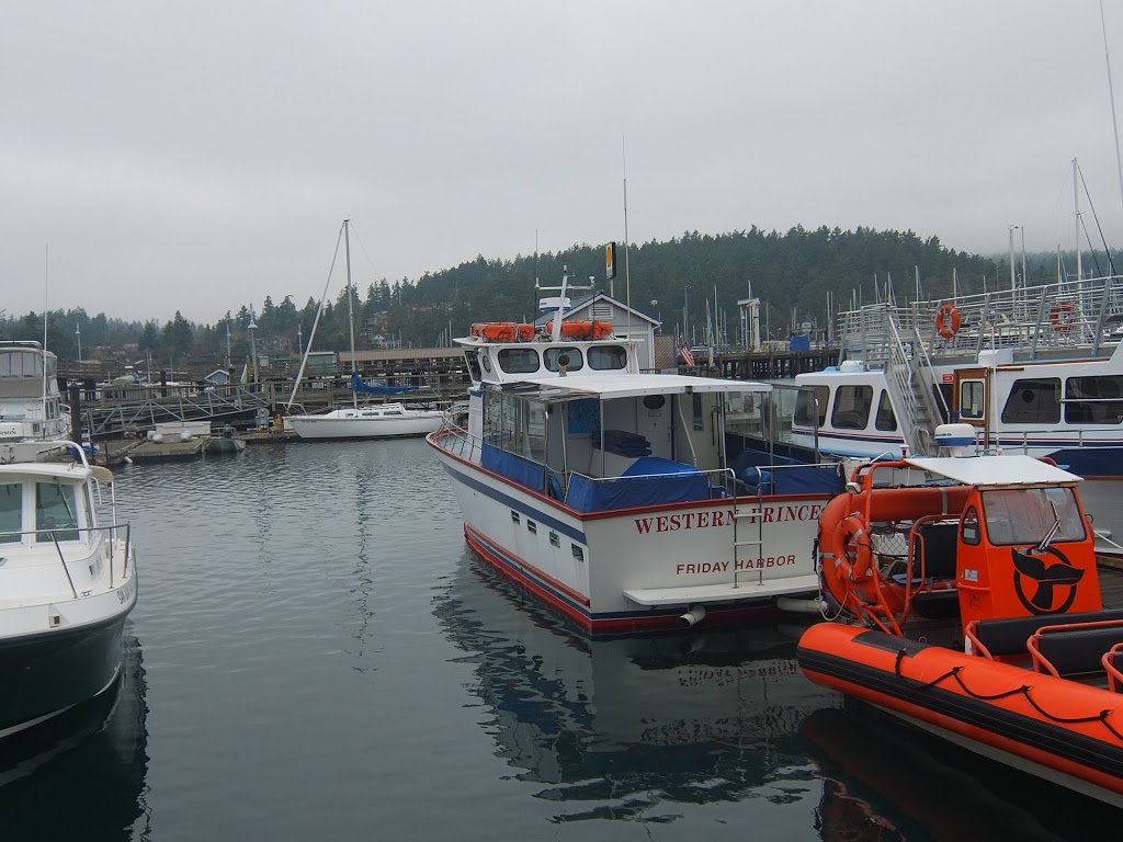 Friday Harbor Marine | B, 665 Mullis St, Friday Harbor, WA 98250, USA | Phone: (360) 378-6202