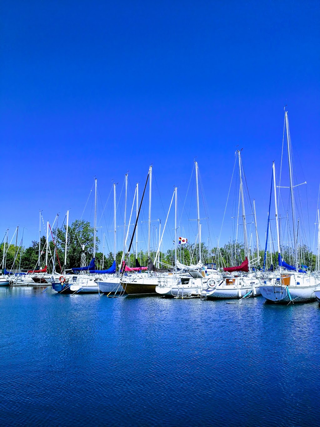 Ashbridges Bay Yacht Club | 30 Ashbridges Bay Park Rd, Toronto, ON M4L 3W6, Canada | Phone: (416) 698-4498