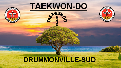 Taekwondo Drummonville | 1550 Rue Saint Aimé, Drummondville, QC J2B 2S8, Canada | Phone: (819) 478-0202