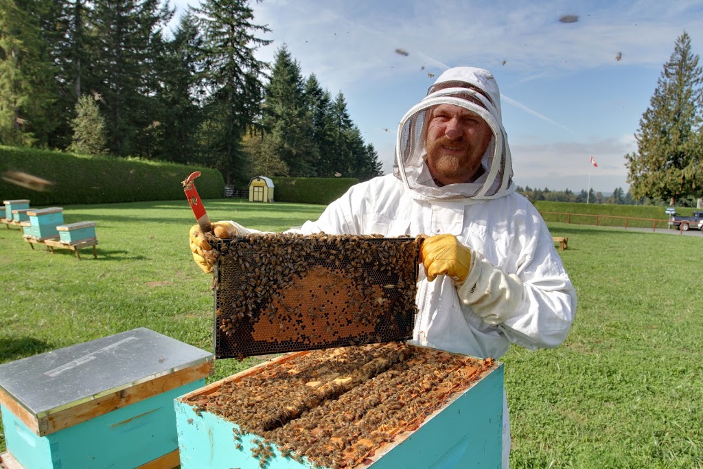 BC Buzz Honey Corporation | 6321 248 St, Langley Twp, BC V4W 1C3, Canada | Phone: (855) 722-2899