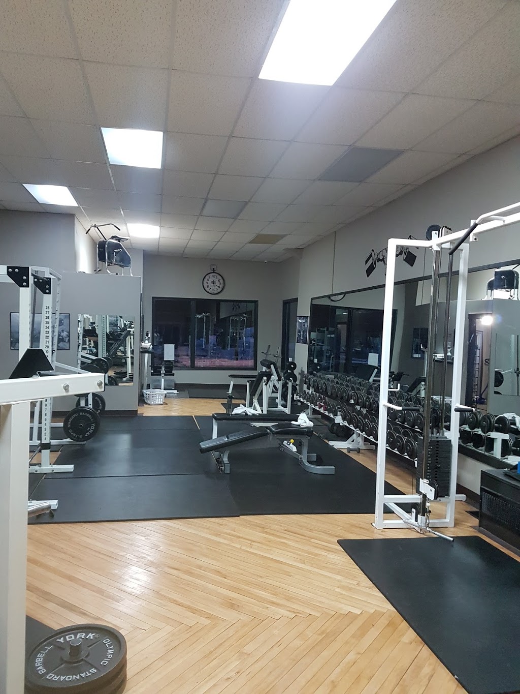 Johns Gym | 4819 50 St, Bashaw, AB T0B, Canada | Phone: (780) 608-9274