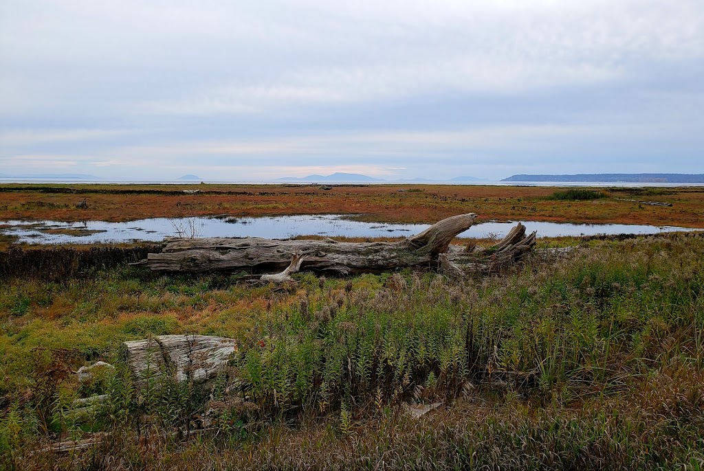 Boundary Bay Dyke | 2 British Columbia 7, Vancouver, BC V5Y 1P1, Canada