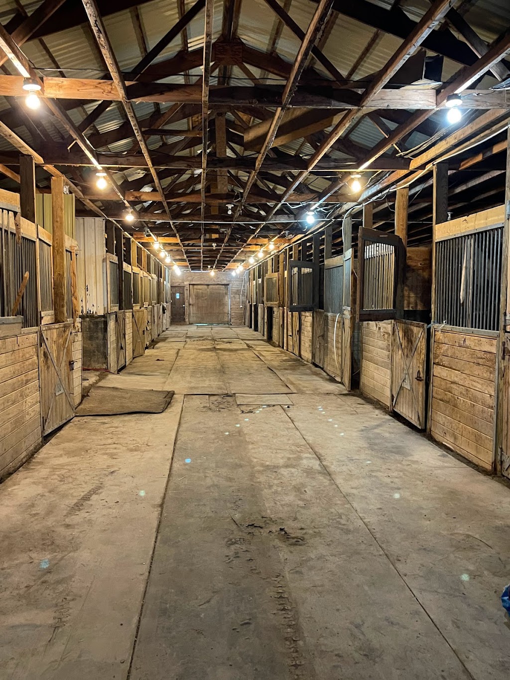 Beaus Equestrian and Training Stable | 2474 Smithville Rd, West Lincoln, ON L0R 2A0, Canada | Phone: (226) 581-2364